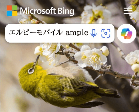こちらから、ご自由にお選びください。