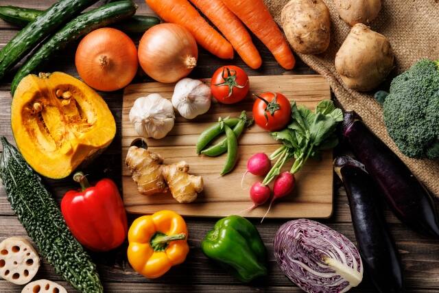 ハンドブック お奨め販売店