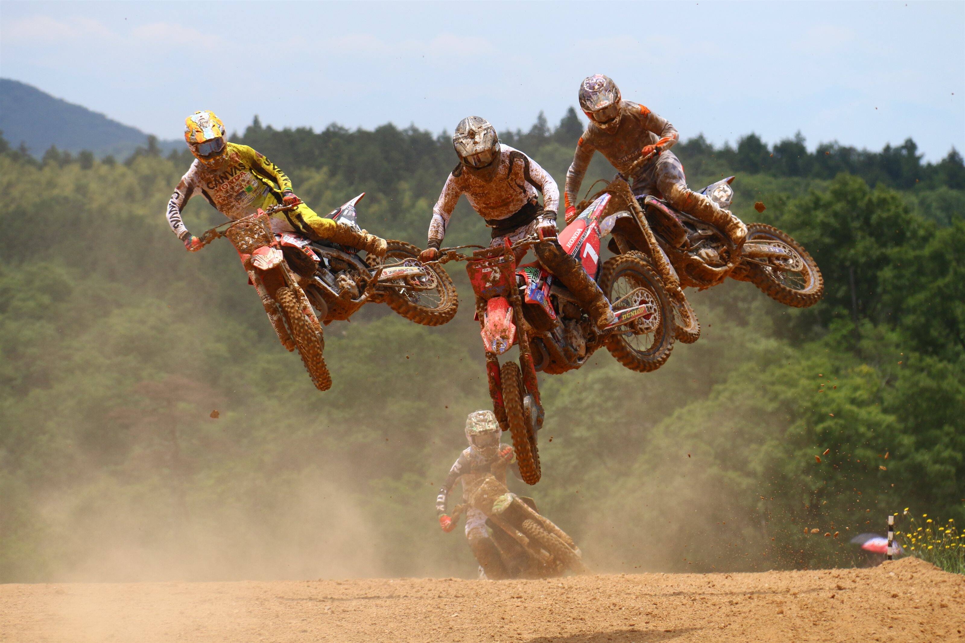 ハンドブック お奨め販売店